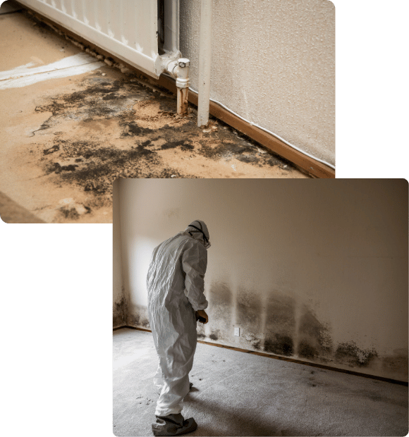 he Situation Worst and Cost