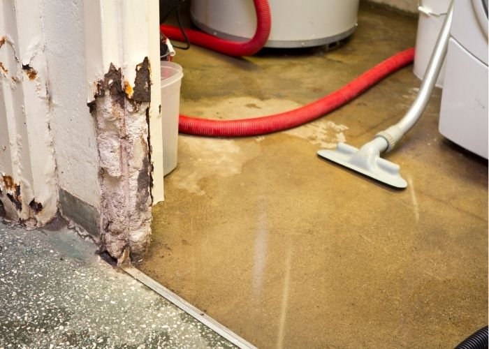Water Damage Mold Cleanup